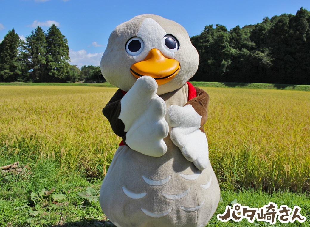 自治体の魅力イメージ